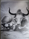 lord Shiva with Nandi ( A3 )